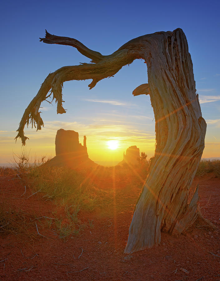 Monument Valley Sunrise Xxxl #1 Photograph by 4fr