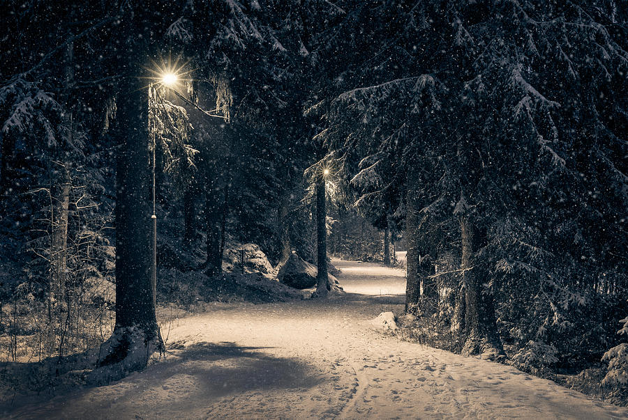 Winter Photograph - Moody Landscape With Snow Path #1 by Jani Riekkinen