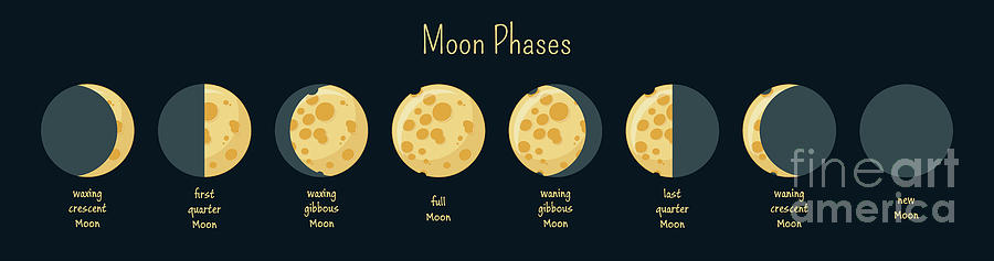 Moon Phases #1 Photograph by Inna Bigun/science Photo Library