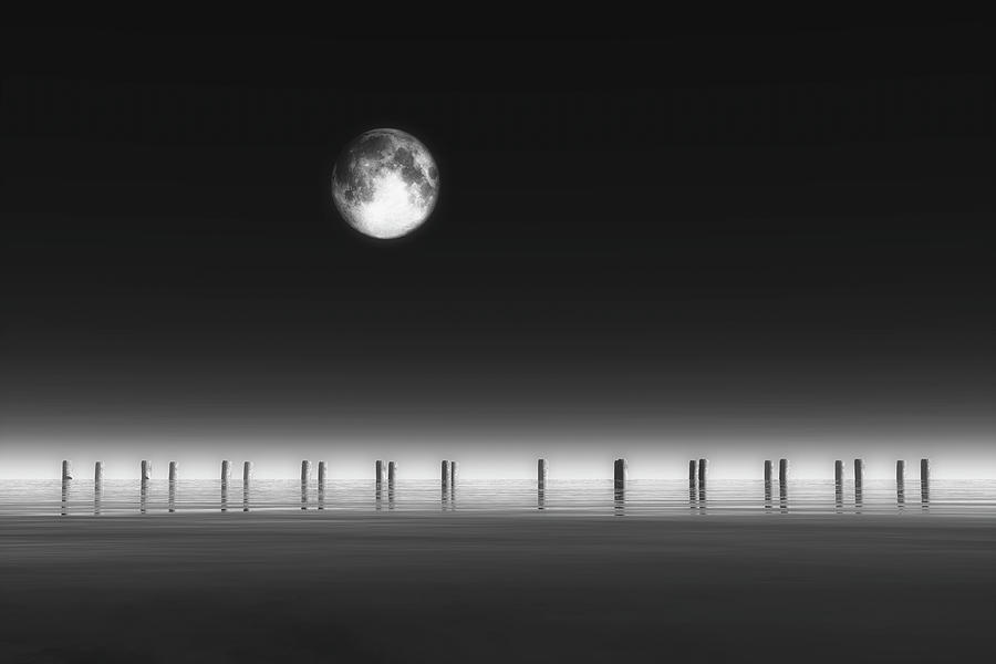 Moonrise Digital Art