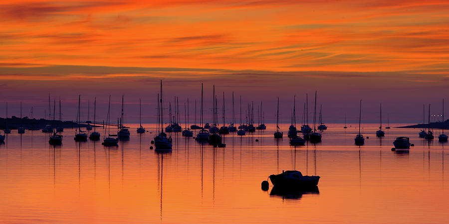 Moorings Conwy Estuary by Peter OReilly Moorings Conwy Estuary by Peter OReilly