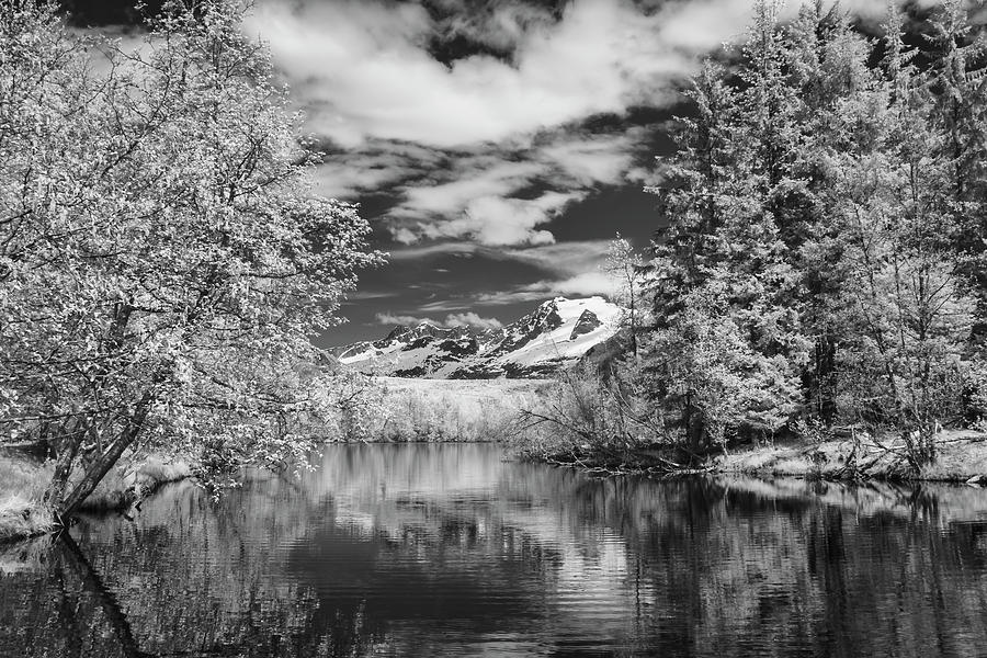 Nature Photograph - Moose Lake, Mendenhall Glacier #1 by John Hyde