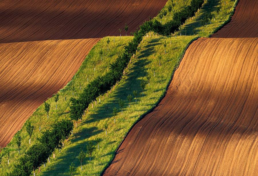 Moravian Fields #1 Photograph by Slawomir Kowalczyk