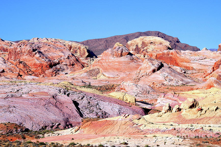 Valley Of Fire Photograph - Morning Color, Valley Of Fire by Douglas Taylor Valley Of Fire Photograph - Morning Color, Valley Of Fire by Douglas Taylor