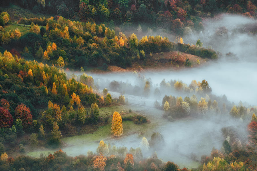 Morning Mist #1 Photograph by Haim Rosenfeld