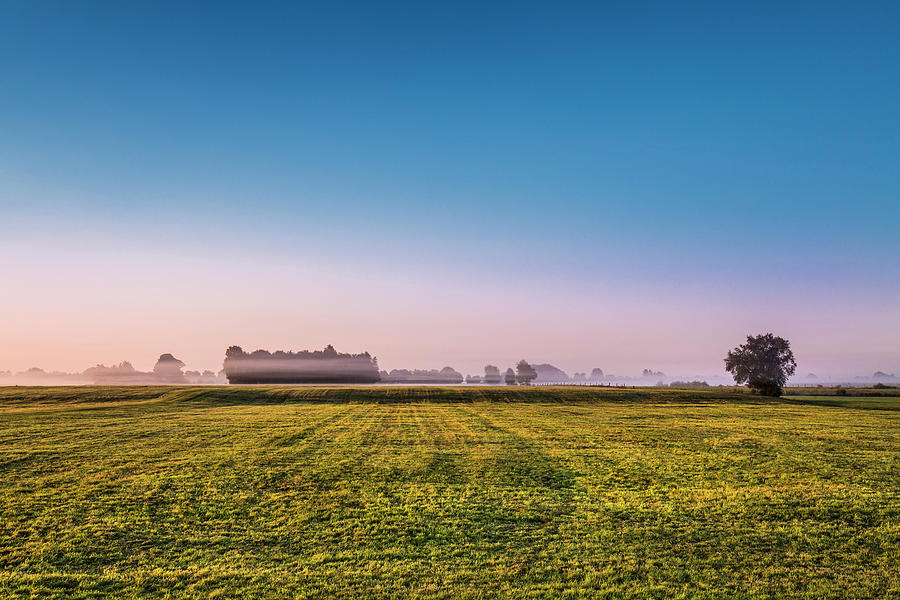 Morning Mist Over A Field, Worpswede, Teufelsmoor, Lower Saxony, Germany #1 Photograph by Sabine Lubenow