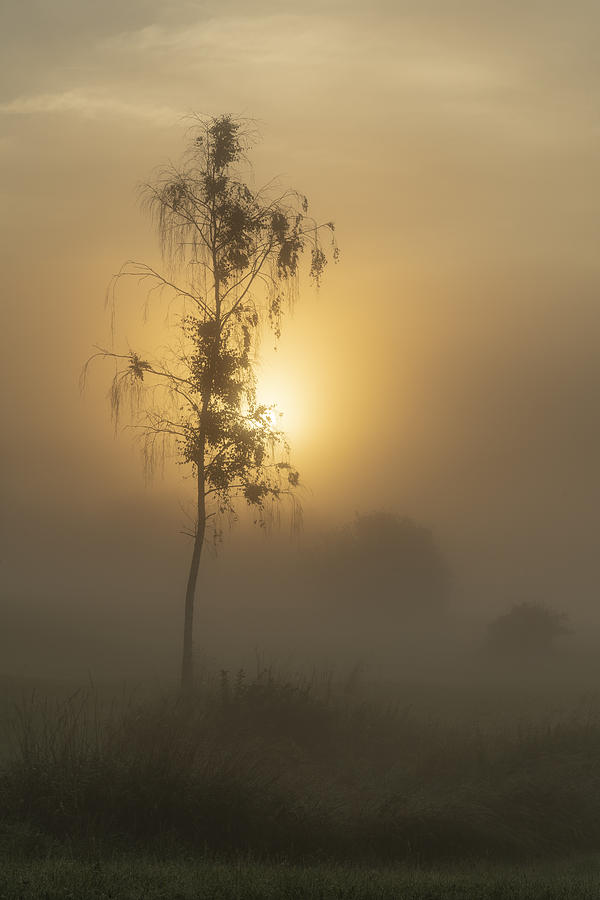 Landscape Photograph - Morning Sun #1 by Norbert Maier