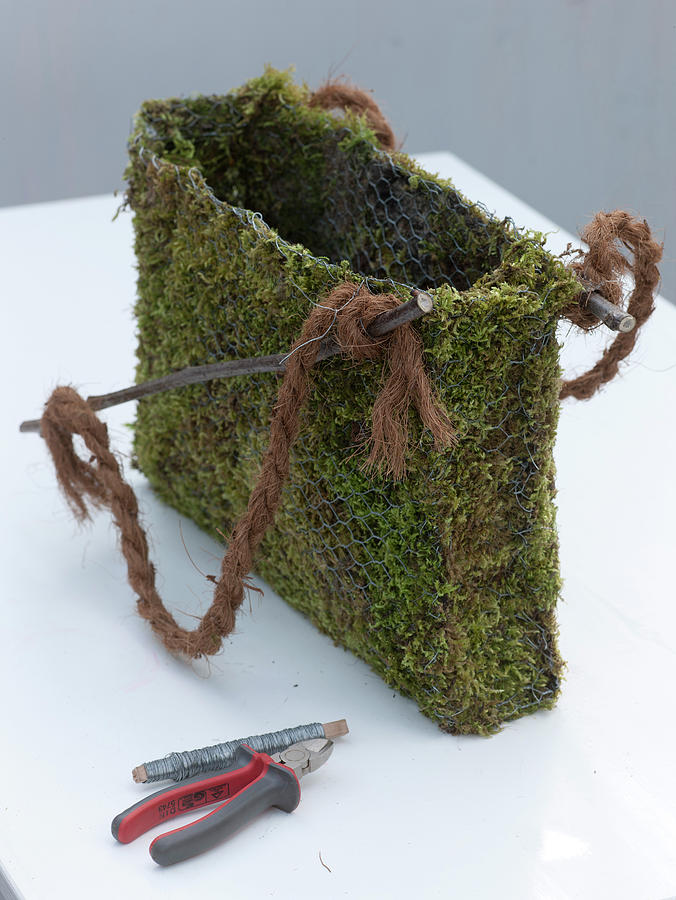 Moss Bag With Daffodil, Moss Bag With Spring Flowers #1 Photograph by Friedrich Strauss