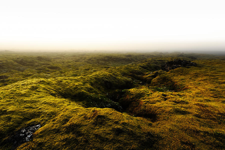 Nature Photograph - Moss Field In Iceland #1 by Ivan Kmit