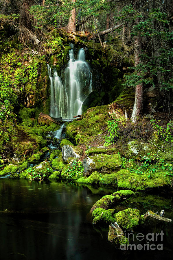 Moss Photograph - Mossy Falls by Joe Sparks Moss Photograph - Mossy Falls by Joe Sparks