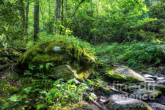 Mossy Rock by James Foshee Mossy Rock by James Foshee