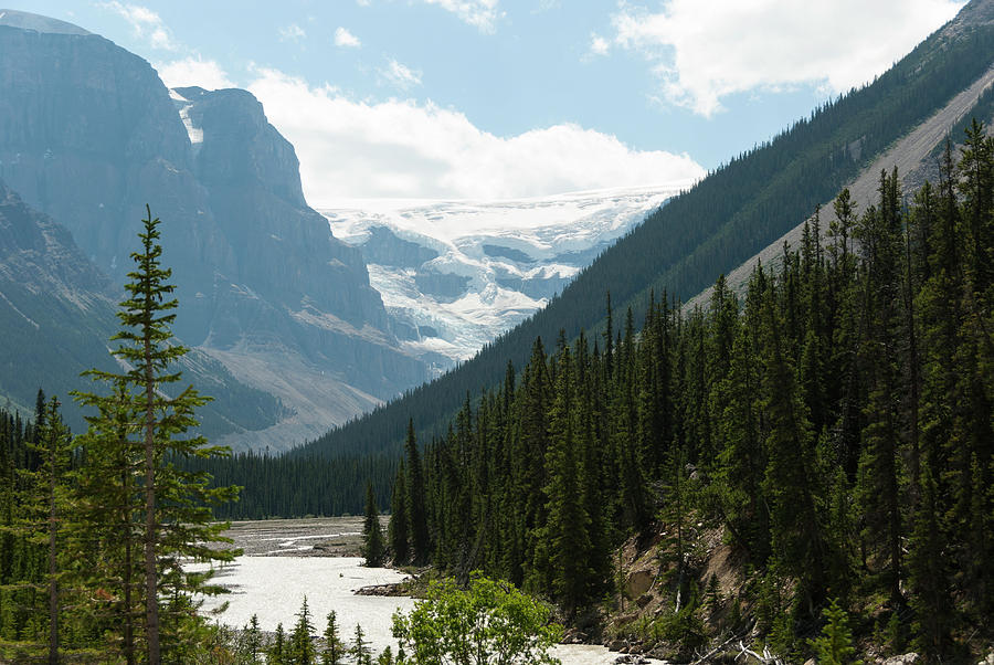Mount Athabasca With Sunwapta River #1 Photograph by John Elk Iii