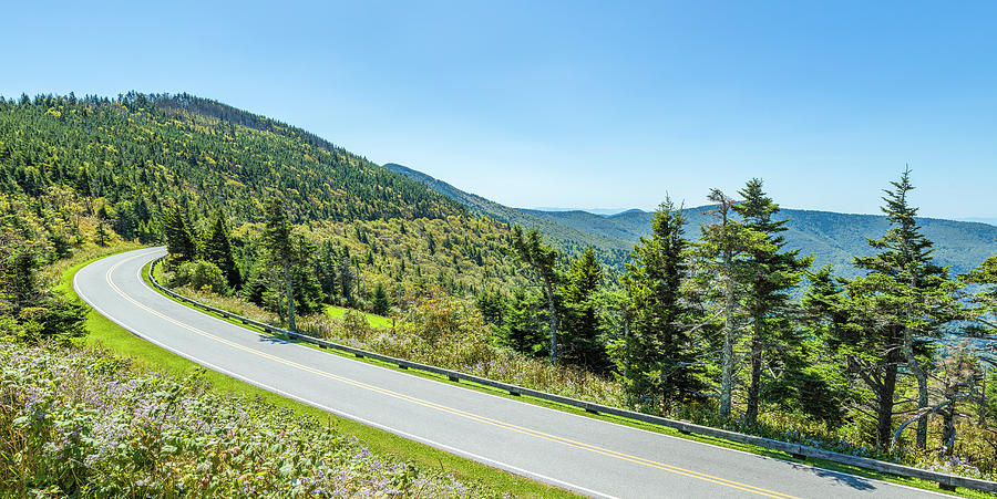 Mount Mitchell State Park Road, State Photograph by Panoramic Images ...