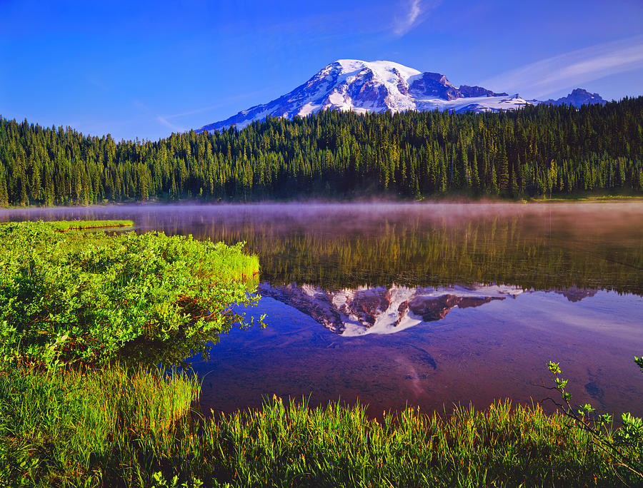 Mount Rainier National Park #1 Photograph by Ron thomas