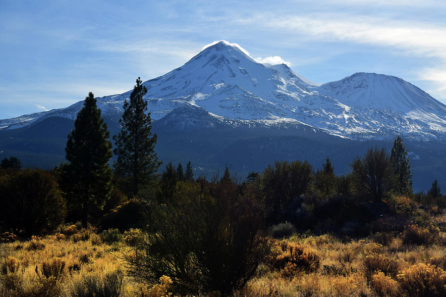 Mount Shasta #1 Photograph by Frank Wilson