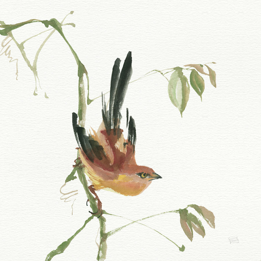 Warbler Painting - Mountain Bush Warbler #1 by Chris Paschke