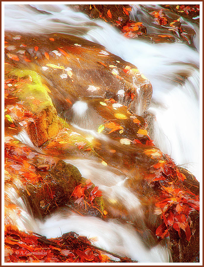 Mountain Stream, Waterfall, Autumn #1 Photograph by A Macarthur Gurmankin