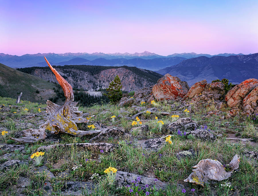 Mountain Sunrise #1 Photograph by Leland D Howard