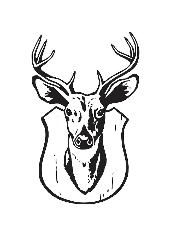 Stuffed taxidermy deer head line-art Royalty Free Vector