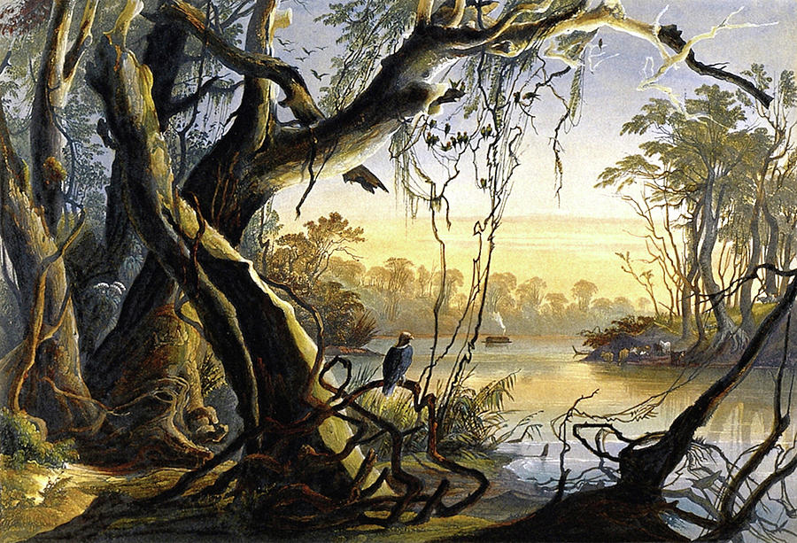 Karl Bodmer Painting - Mouth of the Fox River by Sigismond Himely