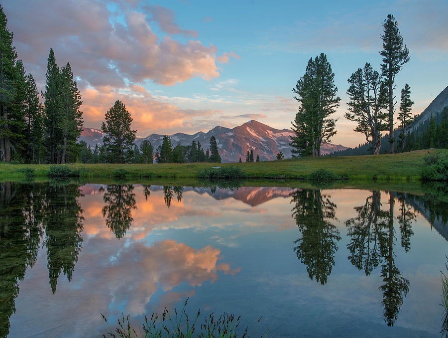 Mp Photograph - Mt. Dana Reflection, Tioga Pass 2 by Tim Fitzharris Mp Photograph - Mt. Dana Reflection, Tioga Pass 2 by Tim Fitzharris