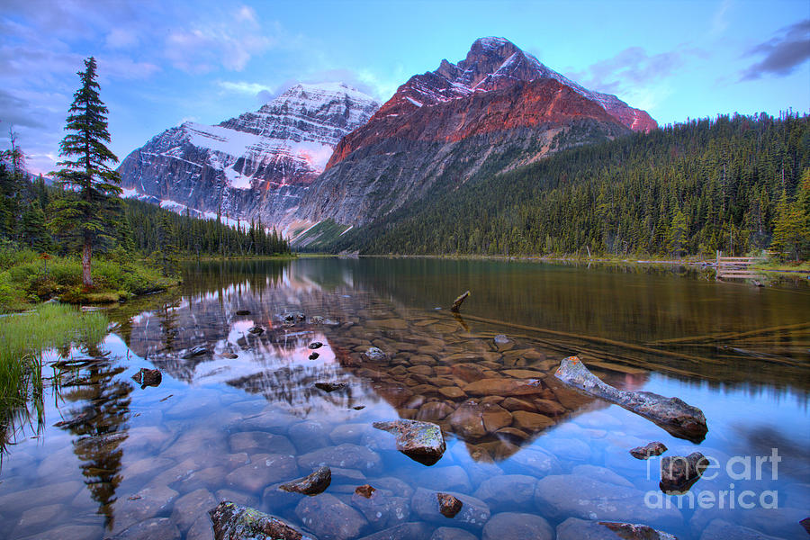 Mt. Edith Cavell 2019 Sunrise Reflections Photograph by Adam Jewell