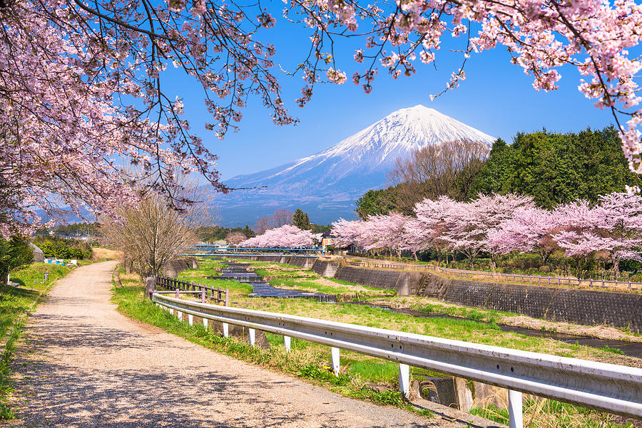 Mt. Fuji Viewed From Rural Shizuoka #1 Photograph by Sean Pavone - Fine ...