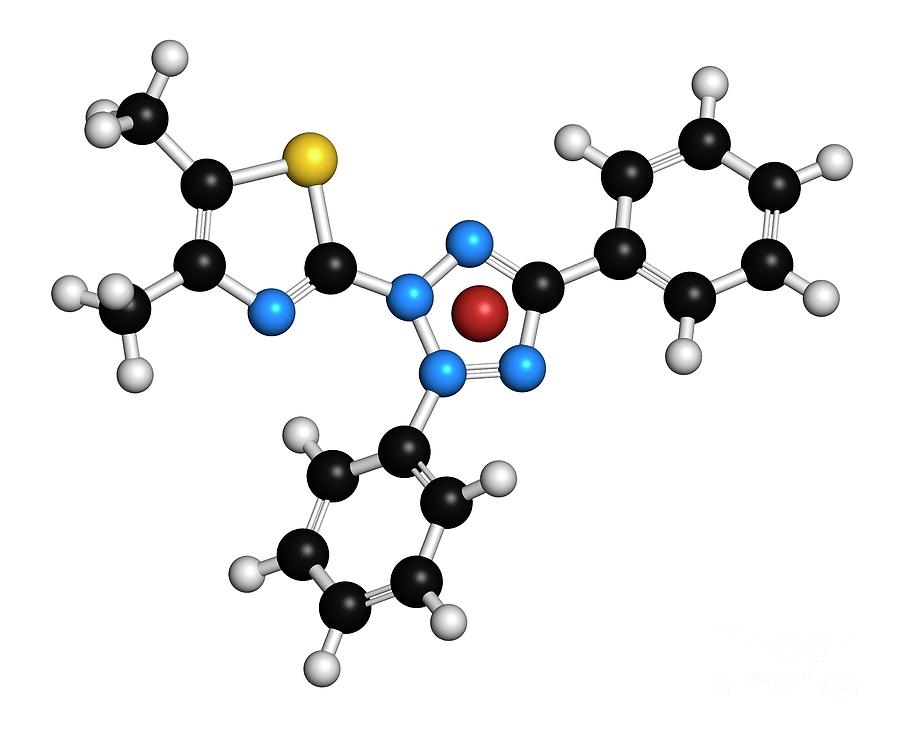 Mtt Yellow Tetrazole Dye Molecule #1 Photograph by Molekuul/science Photo Library