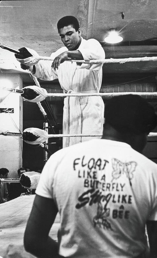 Muhammad Ali In Training Photograph by Fred W. McDarrah Muhammad Ali In Training Photograph by Fred W. McDarrah