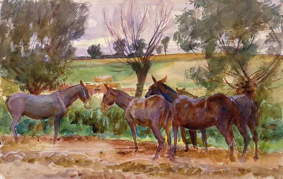 John Singer Sargent Painting - Mules. #1 by John Singer Sargent