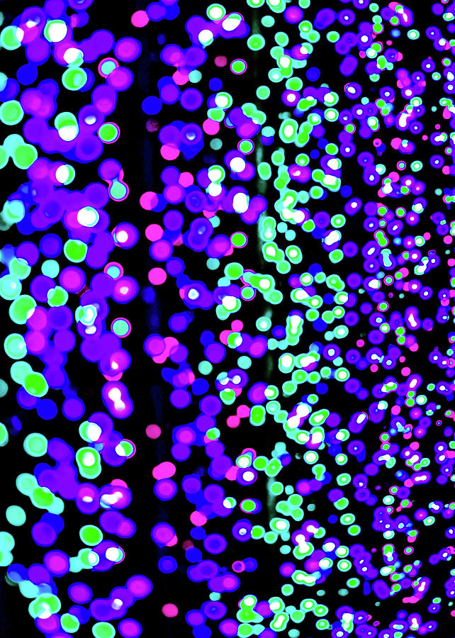 Multi-coloured Light Spots Iv Photograph by Chay Bewley