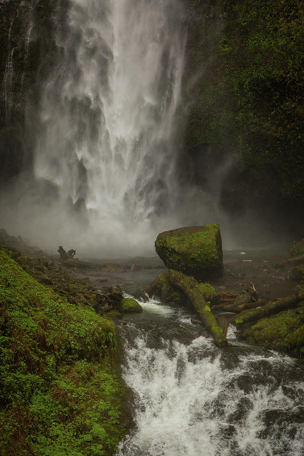 Multnomah Falls #1 Photograph by David Barile
