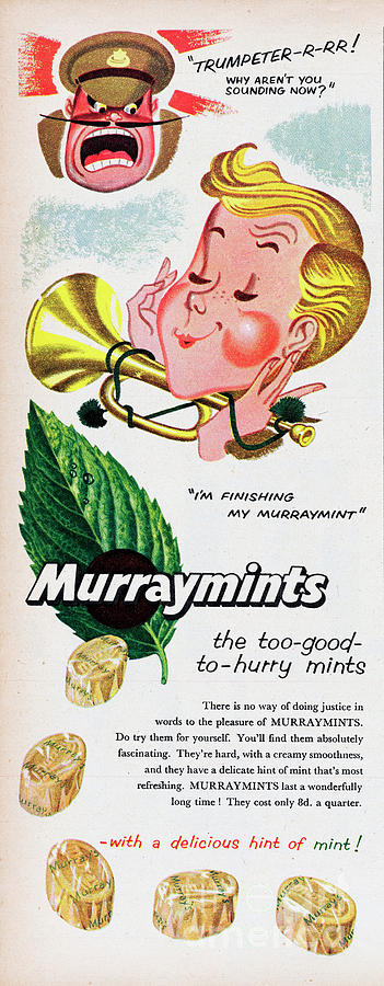 Murraymints #1 Photograph by Picture Post