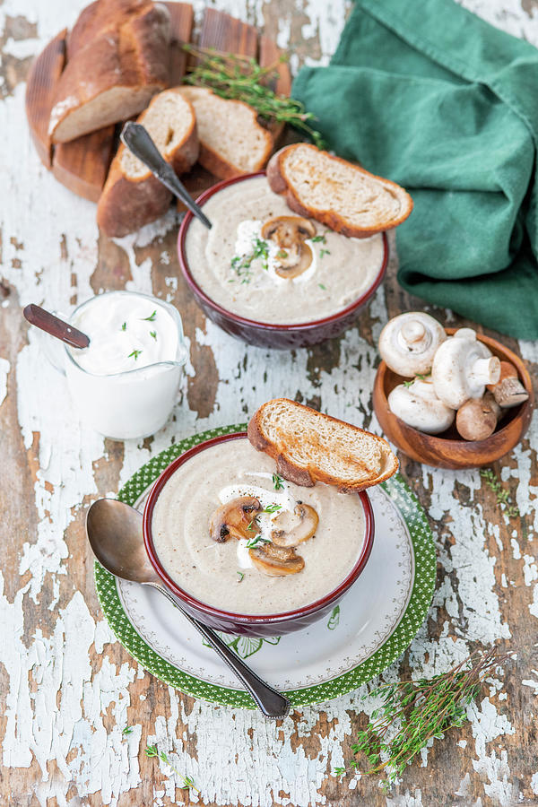 Mushroom Cream Soup #1 Photograph by Irina Meliukh