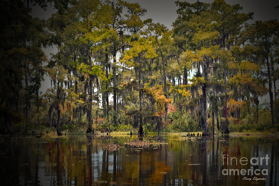 Tree Photograph - Mysterious Swamp #1 by Karry Degruise