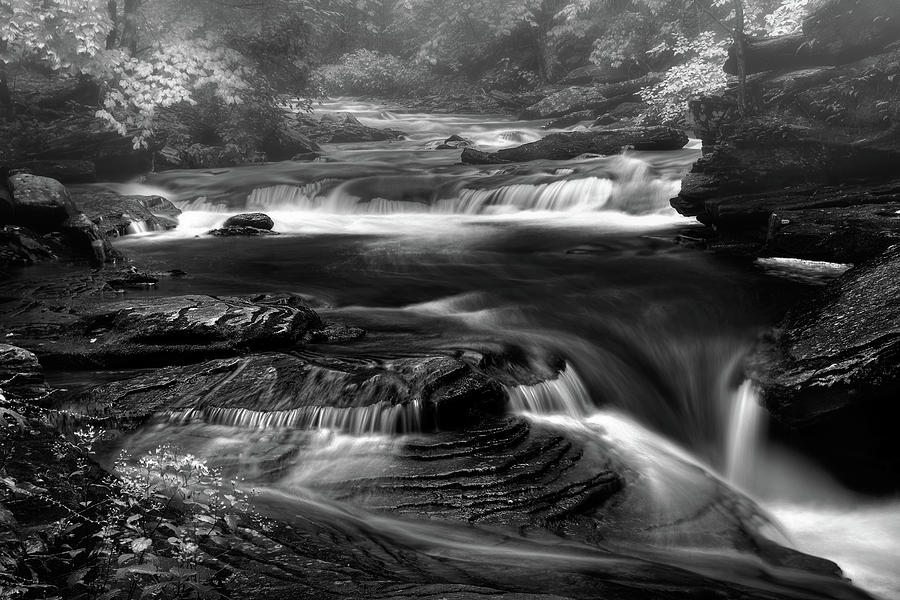 Mystic Stream #1 Photograph by John Maslowski