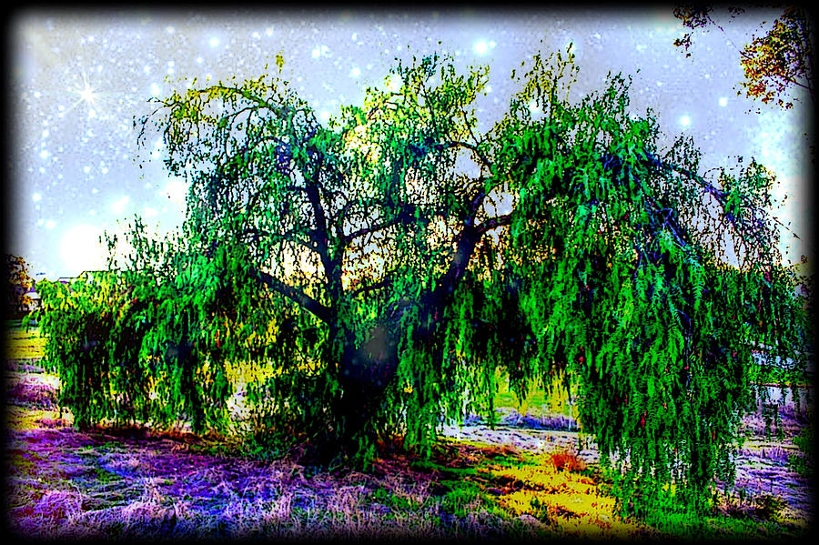 Mystical tree Digital Art by DL Frey | Fine Art America