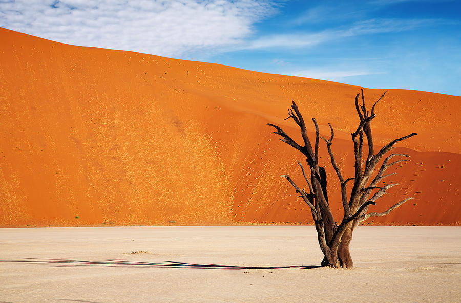Landscape Photograph - Namib Desert #1 by DPK-Photo