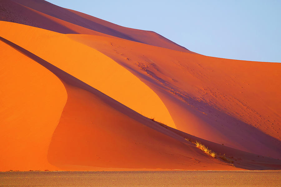 Namib Desert Dune At Sunrise #1 Photograph by Hiroya Minakuchi