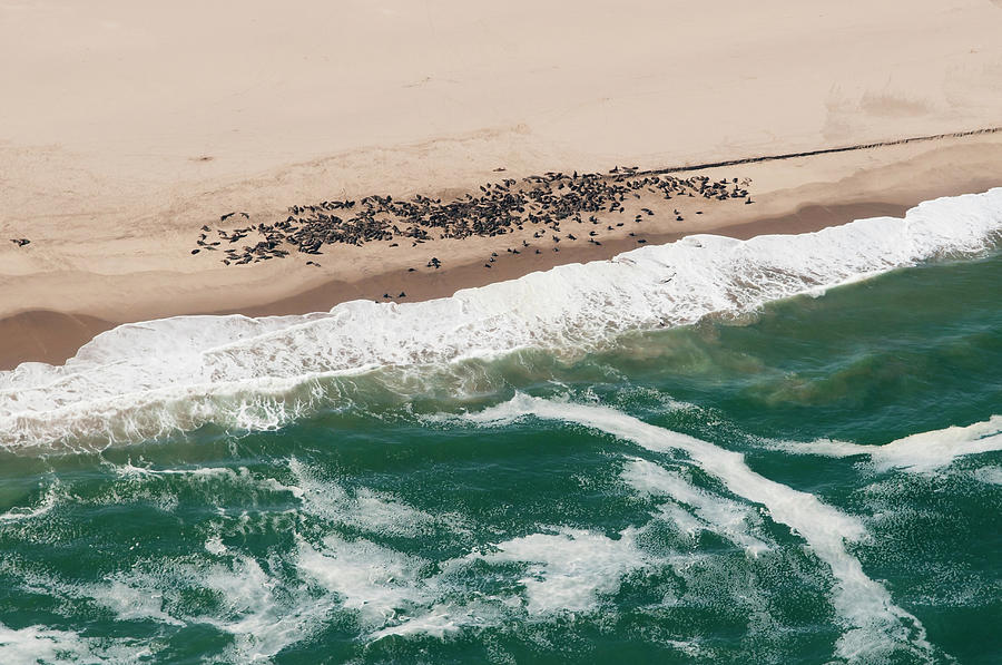 Namibia, Namib Desert, Skeleton Coast by Pitamitz Sergio / Hemis.fr