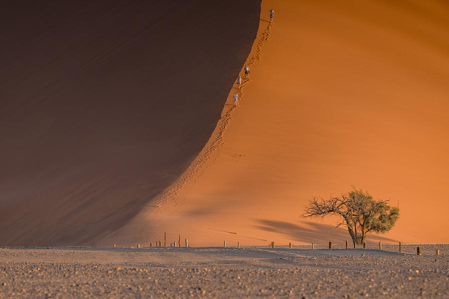 Namibia Sand Dunes #1 Photograph by Willa Wei