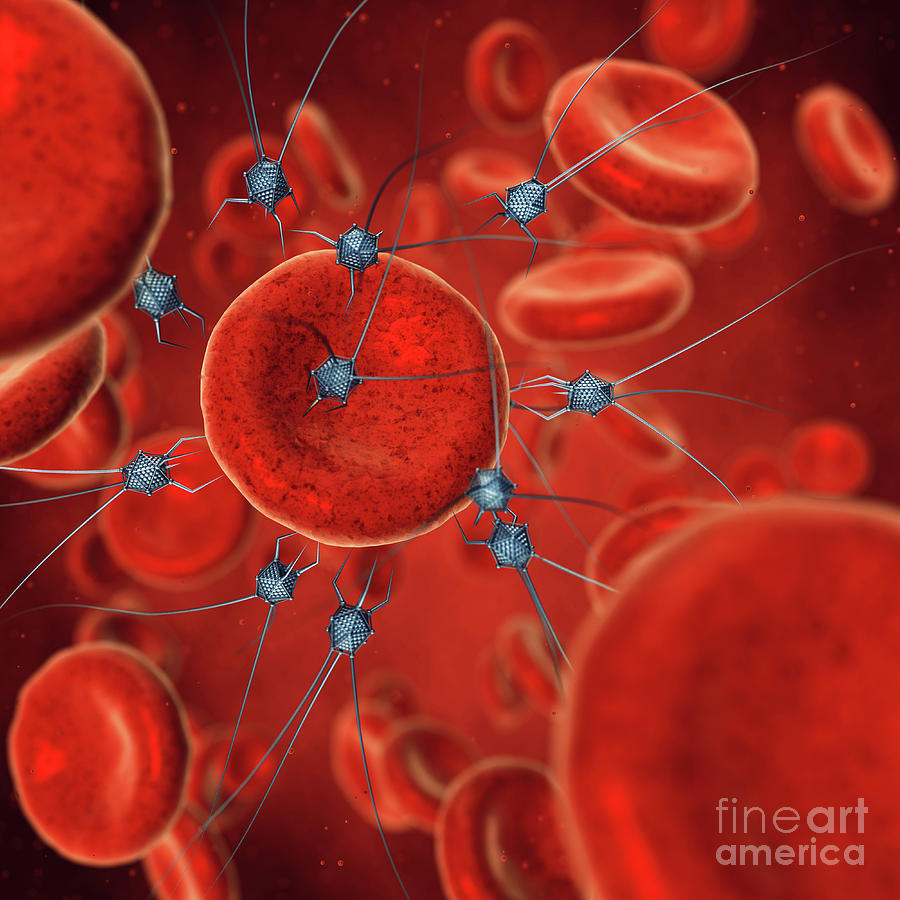 nanobots in bloodstream