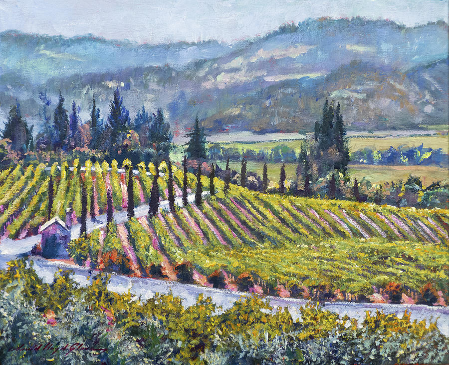 Napa Valley Vineyards Painting by David Lloyd Glover
