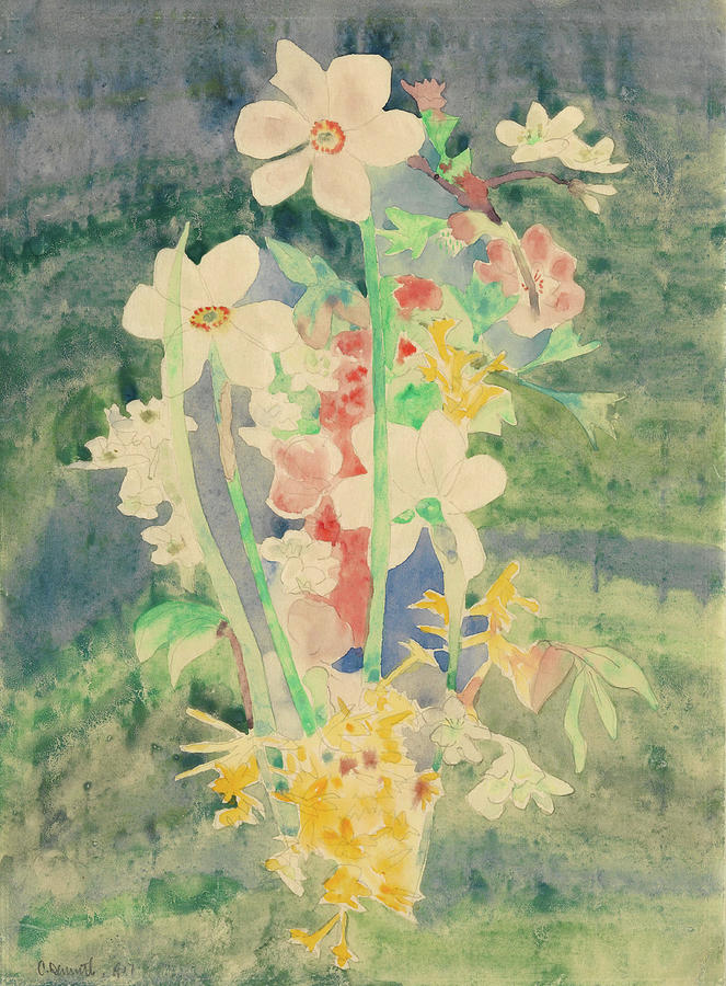 Charles Demuth Painting - Narcissi. #1 by Charles Demuth