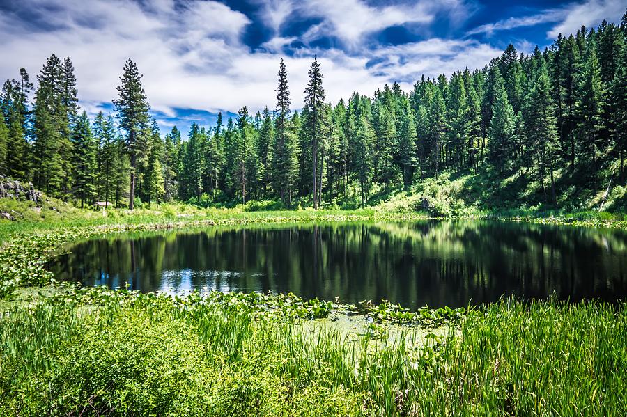 Nature Scenics Around Spokane River Washington #1 Photograph by Alex Grichenko