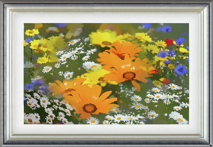 Nature's Extraordinary Abundance by Clive Littin Nature's Extraordinary Abundance by Clive Littin