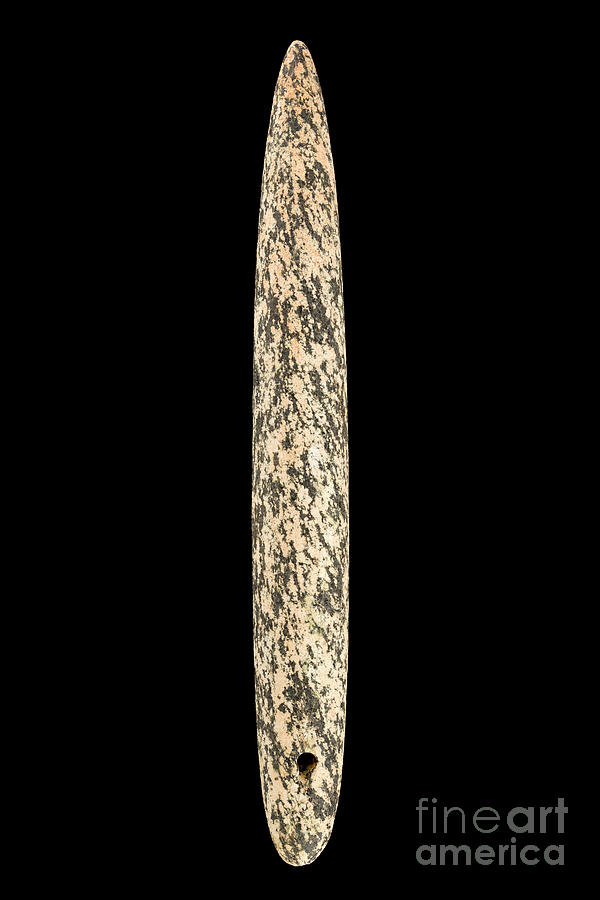 Neolithic Period Needle #1 Photograph by Pascal Goetgheluck/science Photo Library