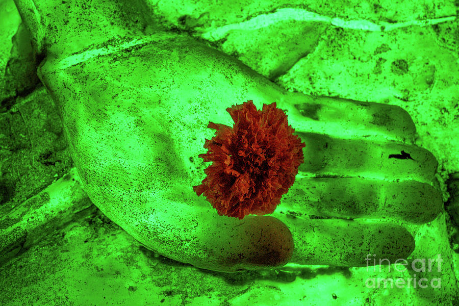 Neon Buddha Hand With Marigold - Green Photograph by Dean Harte
