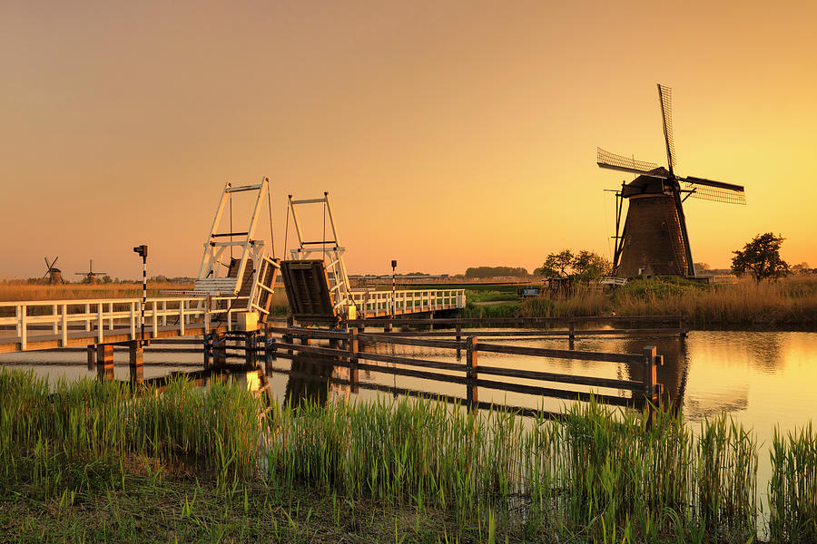 Netherlands, South Holland, Kinderdijk, Benelux, Windmills In The Evening Light #1 Digital Art by Markus Lange