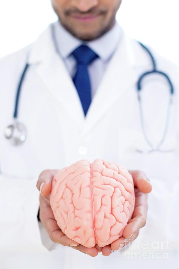 Neurologist Holding Brain Model Photograph by Science Photo Library ...